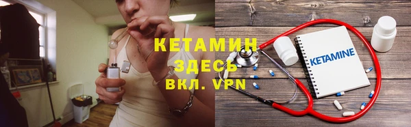 крисы Алексин