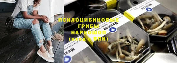 крисы Алексин